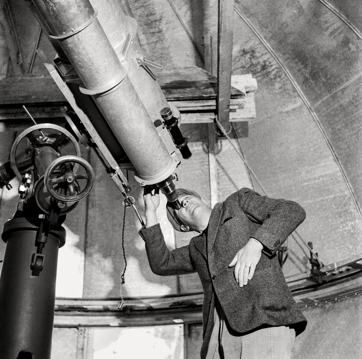102544637 - Foto: KEYSTONE / Photopress-Archiv / Hermann Schmid 102544637 - Foto: KEYSTONE / Photopress-Archiv / Hermann Schmid