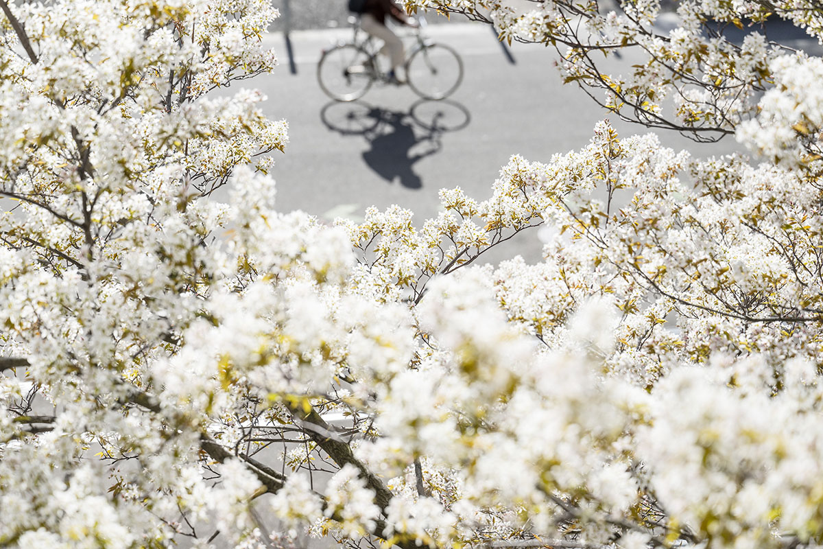 606664180 – Foto: KEYSTONE/Christian Beutler 606664180 – Foto: KEYSTONE/Christian Beutler