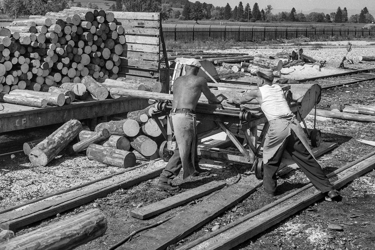 368678542 – Foto: KEYSTONE/Photopress-Archiv/Häfliger