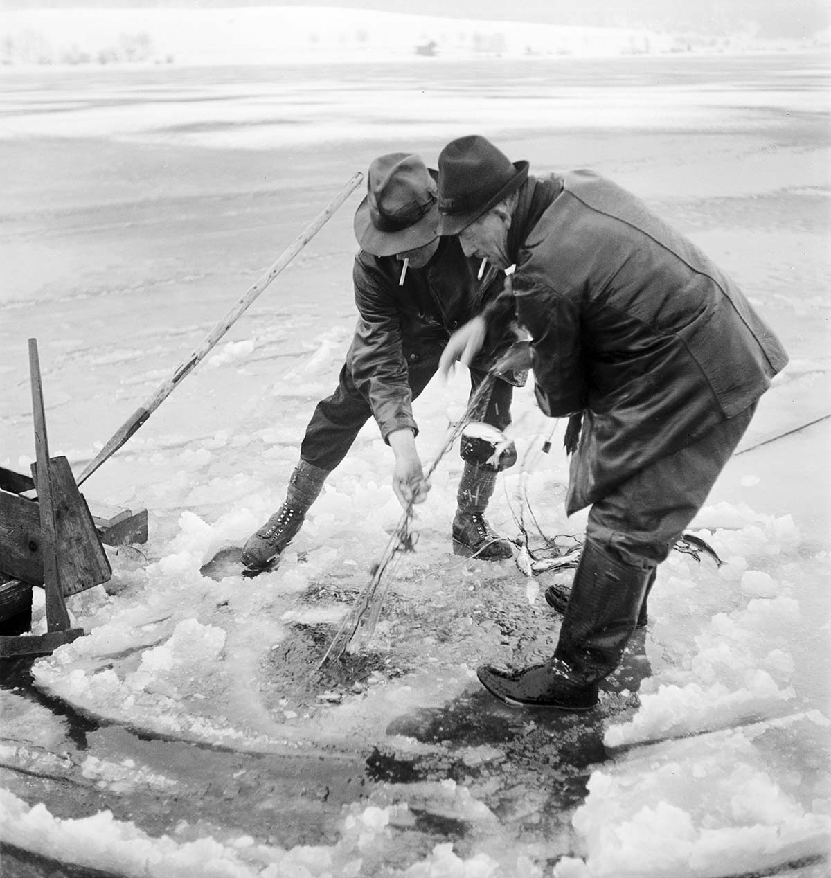 638790799 – Foto: KEYSTONE/Photopress-Archiv 638790799 – Foto: KEYSTONE/Photopress-Archiv