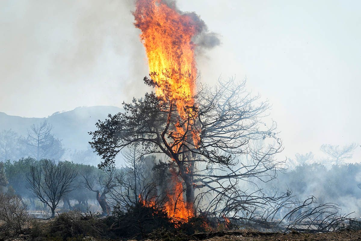 Flammen verbrennen am 25. Juli 2023 einen Baum im Dorf Vati auf der Ägäisinsel Rhodos im Südosten Griechenland. Aufgrund von Bränden, die ausser Kontrolle geraten sind, mussten zahlreiche Evakuierungen durchgeführt werden. Foto: Keystone-SDA/AP Photo/Petros Giannakouris Flammen verbrennen am 25. Juli 2023 einen Baum im Dorf Vati auf der Ägäisinsel Rhodos im Südosten Griechenland. Aufgrund von Bränden, die ausser Kontrolle geraten sind, mussten zahlreiche Evakuierungen durchgeführt werden. Foto: Keystone-SDA/AP Photo/Petros Giannakouris
