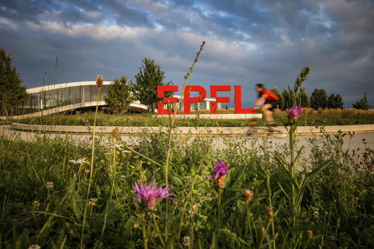 Foto: KEYSTONE / Valentin Flauraud für EPFL (Eidgenössische Technische Hochschule Lausanne)