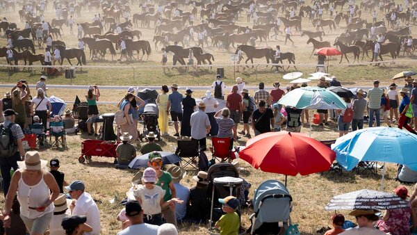 Des eleveurs presentent leur cheval lors du 121e Marche-Concours national de chevaux, dimanche 9 aout 2026, a Saignelegier. 