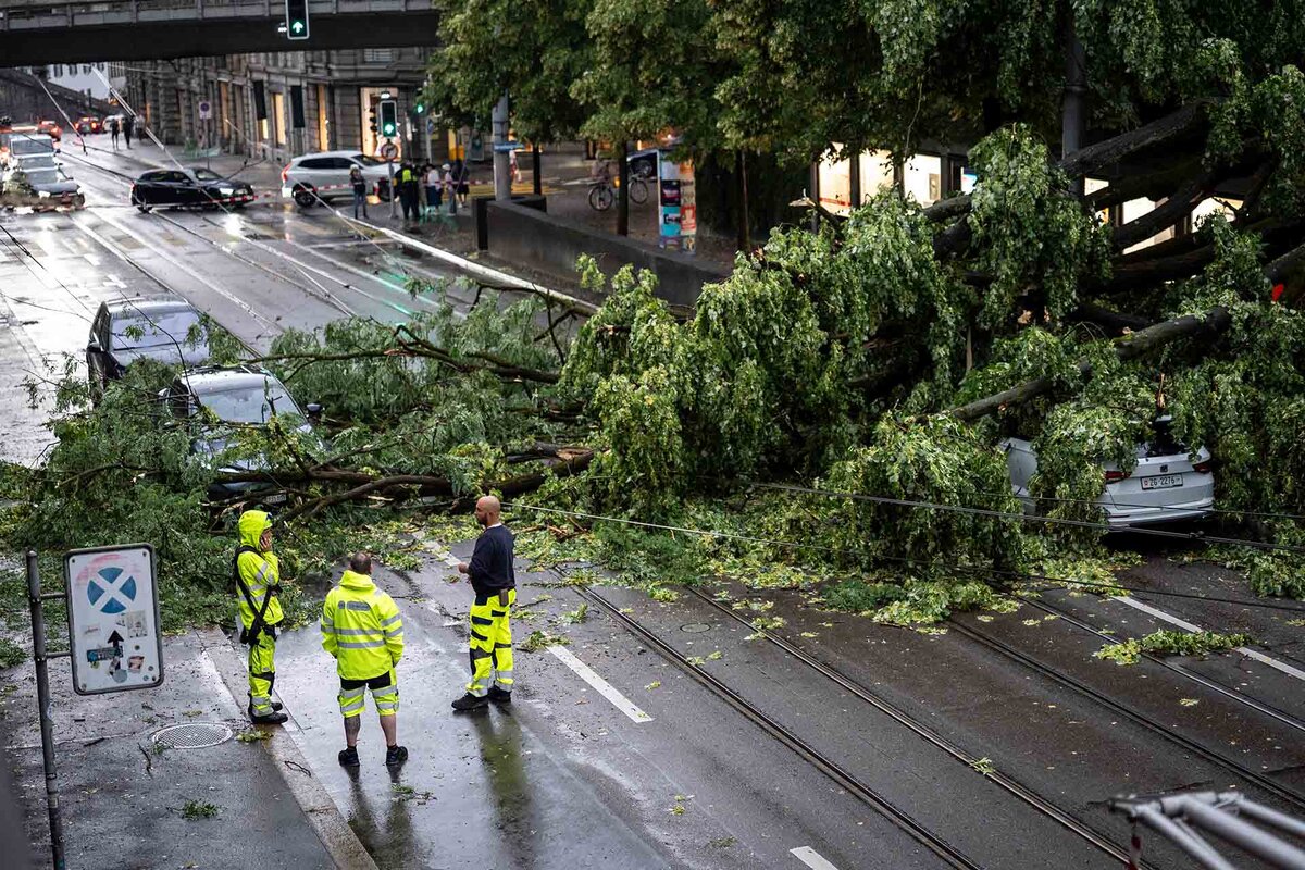 Mitglieder der Schutz und Rettung Zuerich beobachten einen umgestuerzten Baum an der Raemistrasse, der nach einem Blitzeinschlag drei Autos und die Fahrleitung der VBZ getroffen hat.