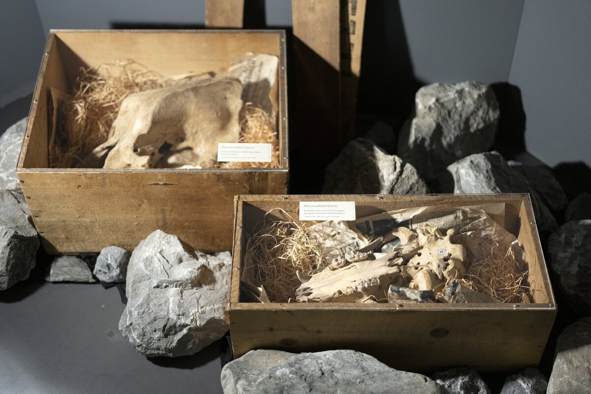 Zwei Holzkisten mit Tierknochen und Schaedelresten aus der Fundstelle Drachenloch im Taminatal, in Stroh gebettet und von Felsen umgeben, als Ausstellungsobjekte.