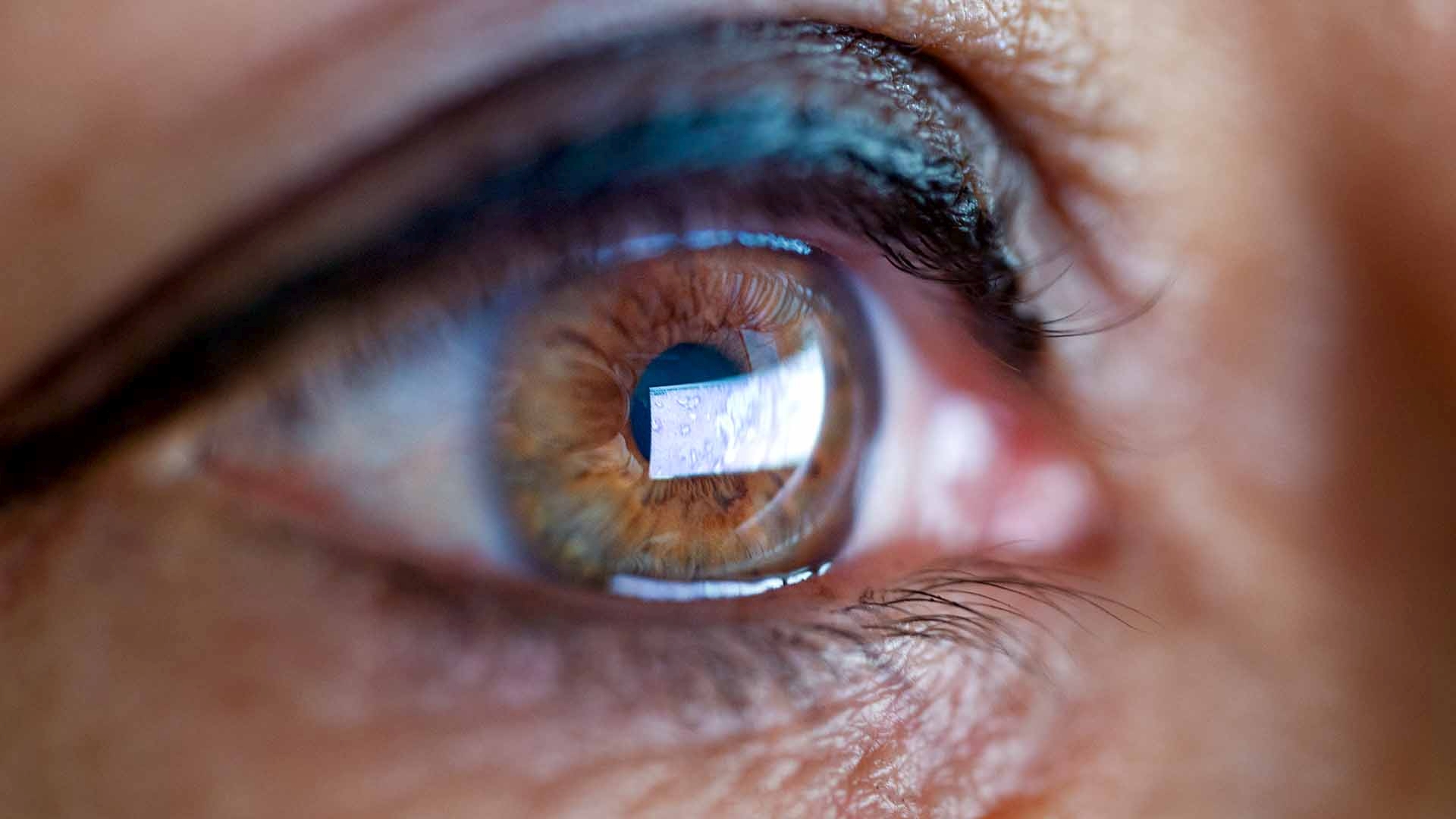 Amjad Khan, chercheur en pathologie numérique à l'université de Berne, utilise l'IA pour analyser des échantillons de tissus. Photo prise le mercredi 4 mars 2026 à Berne.
